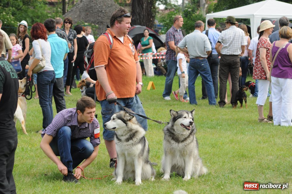 Zdjęcie w galerii na portalu naszraciborz.pl: Raciborskiej wystawie stuknęła 18-tka wiadomości z regionu