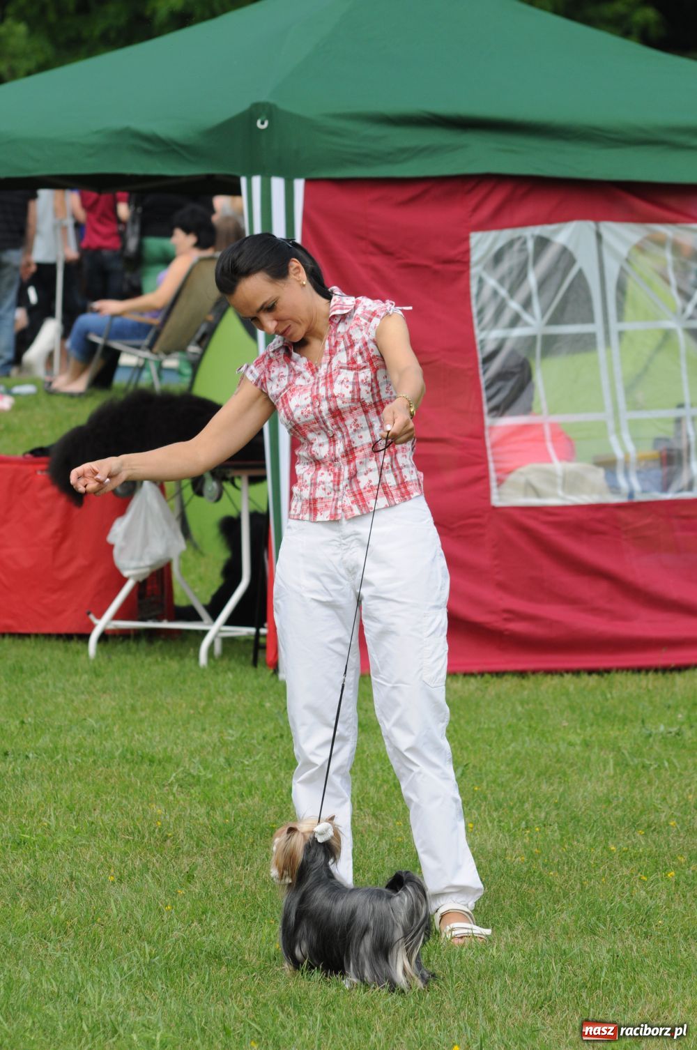 Zdjęcie w galerii na portalu naszraciborz.pl: Raciborskiej wystawie stuknęła 18-tka wiadomości z regionu