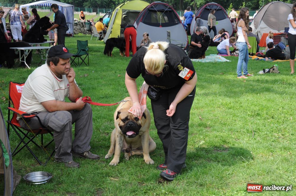 Zdjęcie w galerii na portalu naszraciborz.pl: Raciborskiej wystawie stuknęła 18-tka wiadomości z regionu