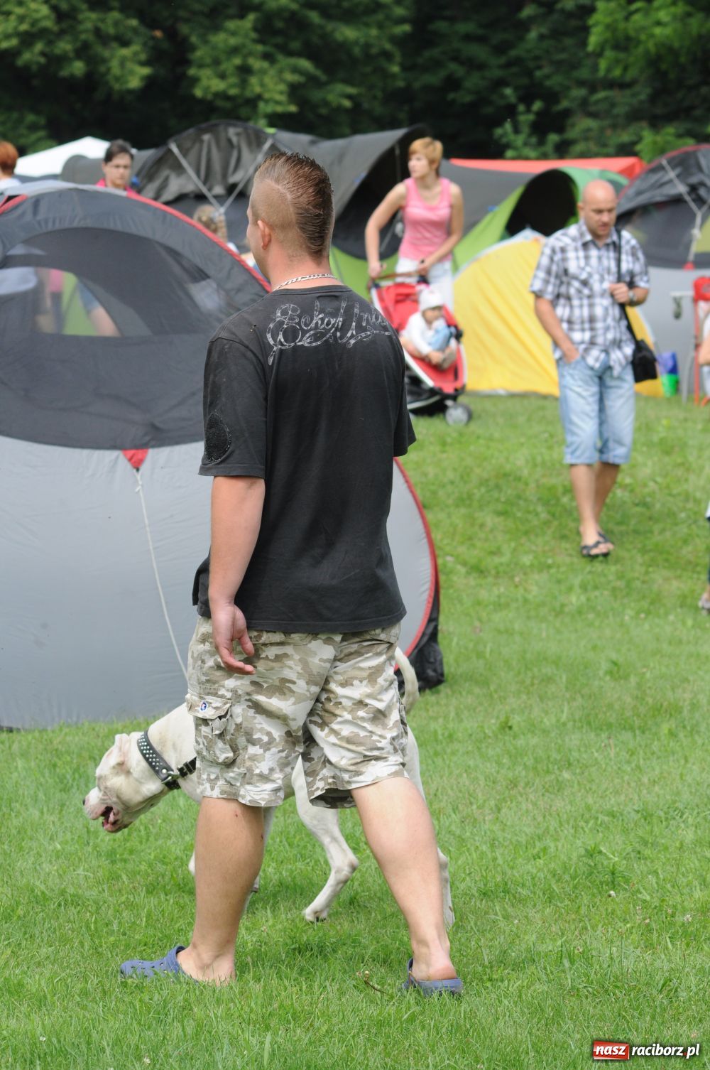 Zdjęcie w galerii na portalu naszraciborz.pl: Raciborskiej wystawie stuknęła 18-tka wiadomości z regionu