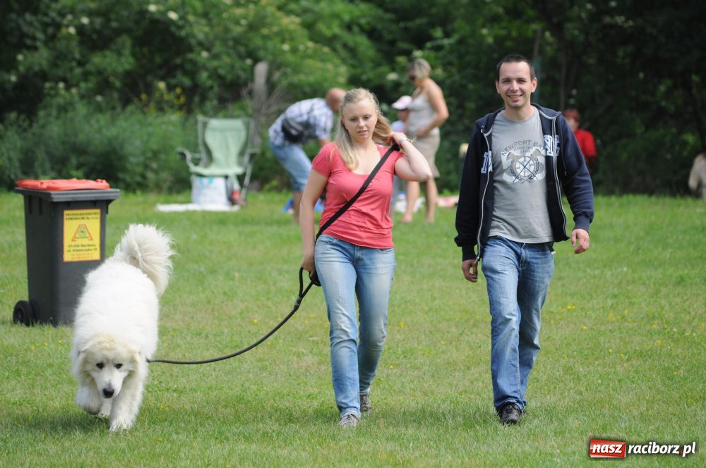 Zdjęcie w galerii na portalu naszraciborz.pl: Raciborskiej wystawie stuknęła 18-tka wiadomości z regionu