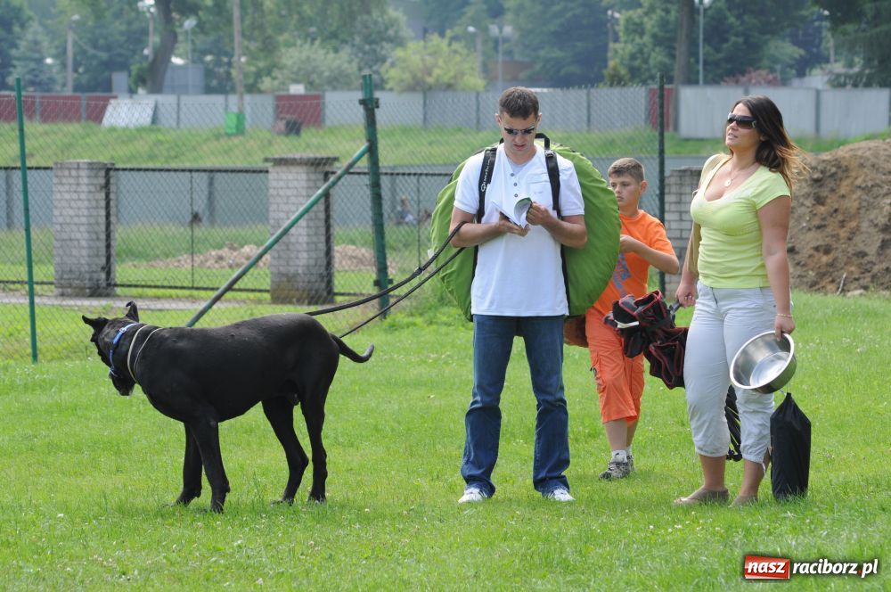 Zdjęcie w galerii na portalu naszraciborz.pl: Raciborskiej wystawie stuknęła 18-tka wiadomości z regionu