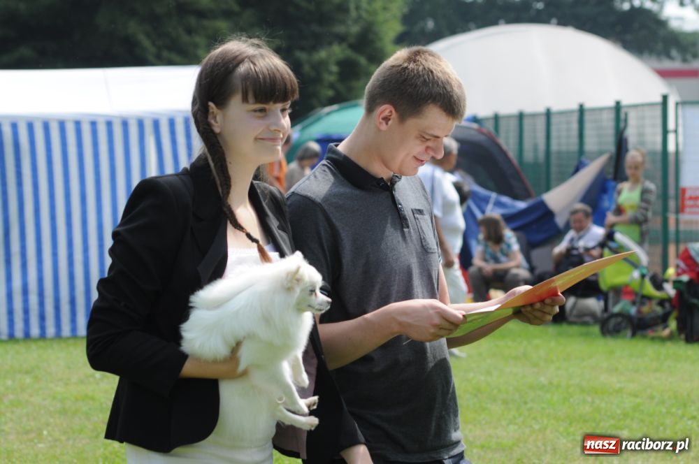 Zdjęcie w galerii na portalu naszraciborz.pl: Raciborskiej wystawie stuknęła 18-tka wiadomości z regionu