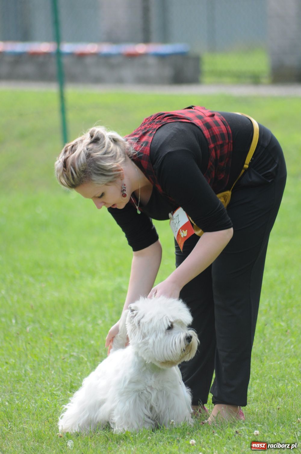 Zdjęcie w galerii na portalu naszraciborz.pl: Raciborskiej wystawie stuknęła 18-tka wiadomości z regionu
