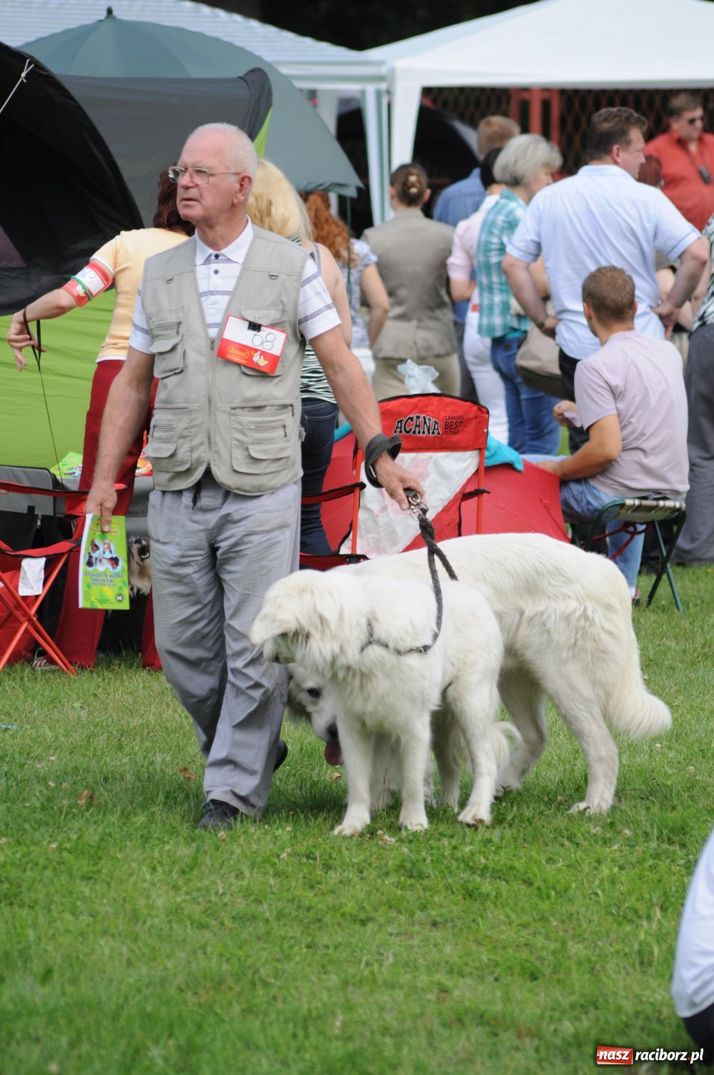 Zdjęcie w galerii na portalu naszraciborz.pl: Raciborskiej wystawie stuknęła 18-tka wiadomości z regionu