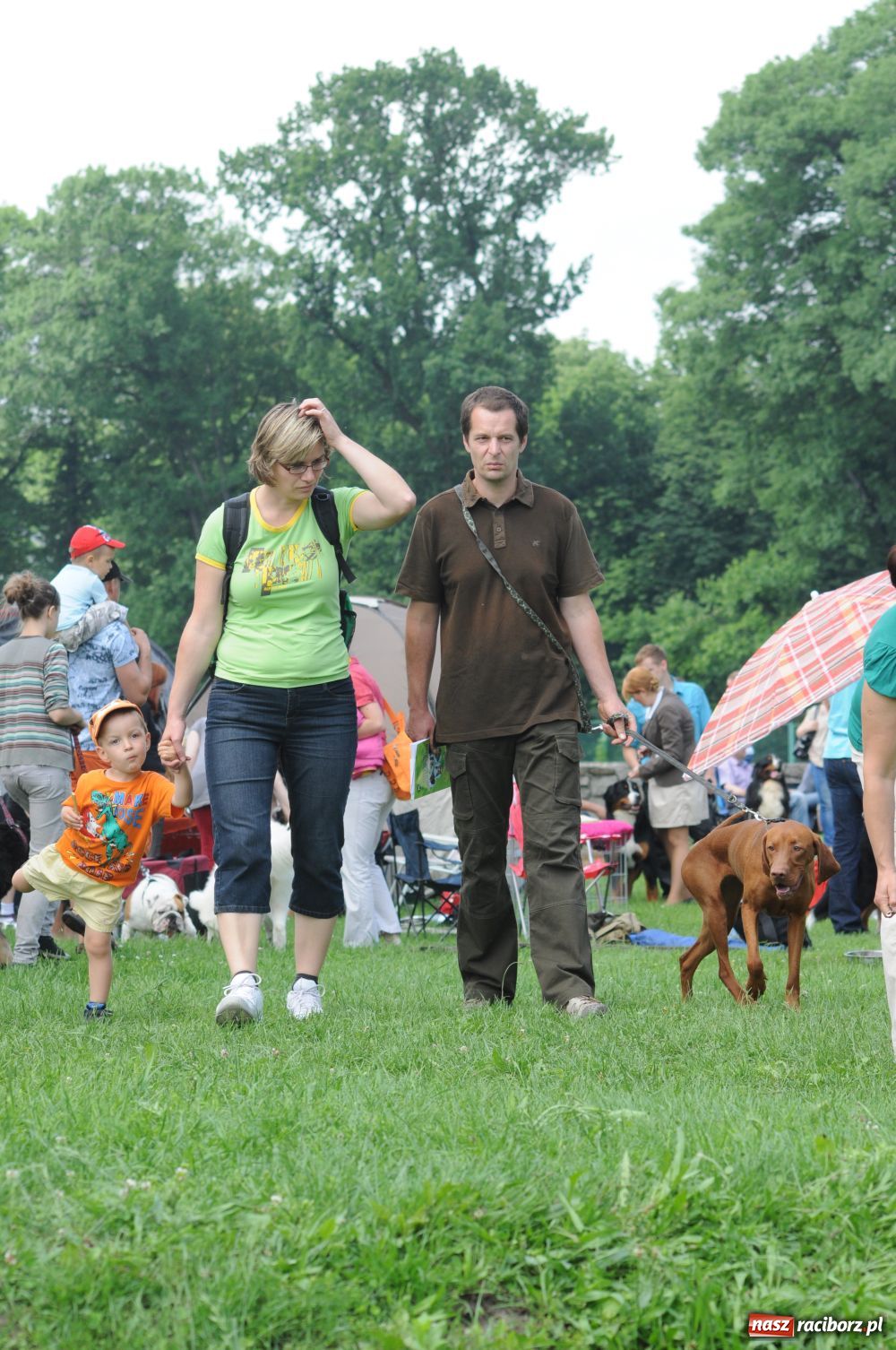 Zdjęcie w galerii na portalu naszraciborz.pl: Raciborskiej wystawie stuknęła 18-tka wiadomości z regionu