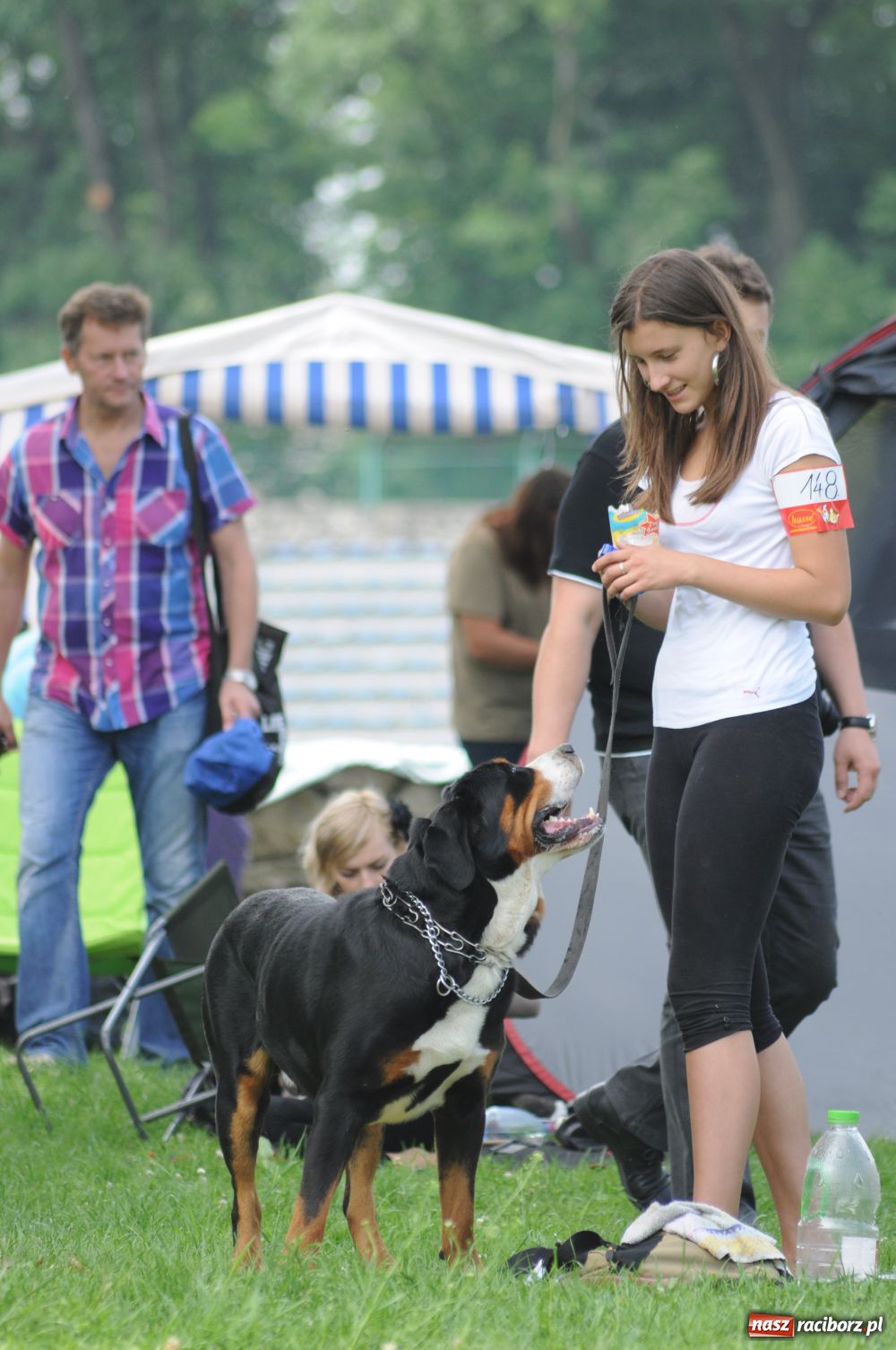Zdjęcie w galerii na portalu naszraciborz.pl: Raciborskiej wystawie stuknęła 18-tka wiadomości z regionu