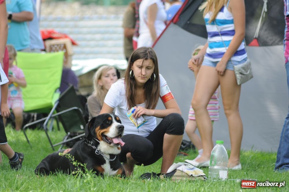 Zdjęcie w galerii na portalu naszraciborz.pl: Raciborskiej wystawie stuknęła 18-tka wiadomości z regionu