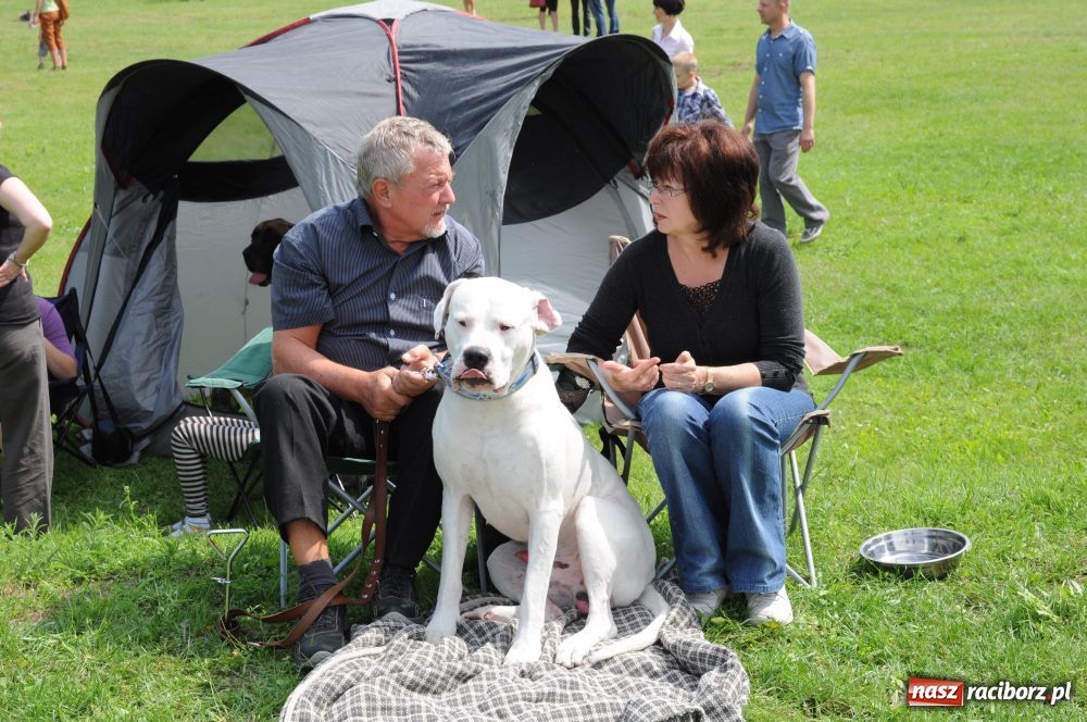 Zdjęcie w galerii na portalu naszraciborz.pl: Raciborskiej wystawie stuknęła 18-tka wiadomości z regionu