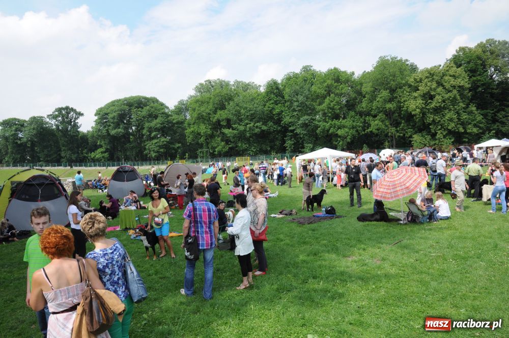 Zdjęcie w galerii na portalu naszraciborz.pl: Raciborskiej wystawie stuknęła 18-tka wiadomości z regionu