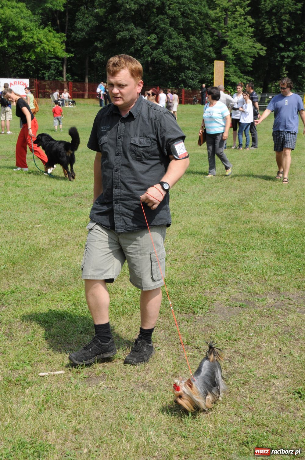 Zdjęcie w galerii na portalu naszraciborz.pl: Raciborskiej wystawie stuknęła 18-tka wiadomości z regionu