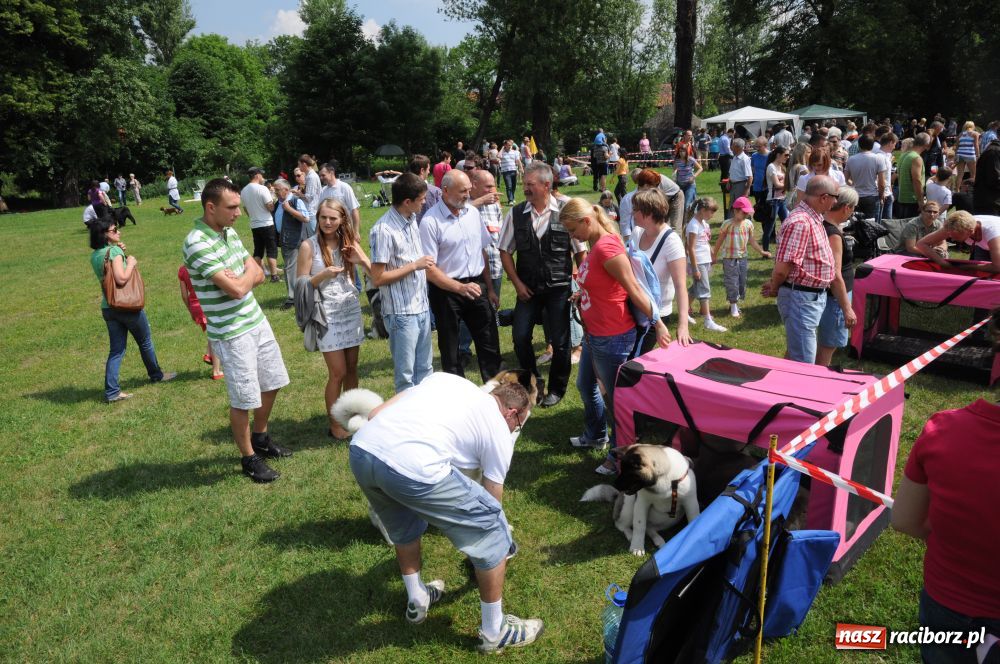 Zdjęcie w galerii na portalu naszraciborz.pl: Raciborskiej wystawie stuknęła 18-tka wiadomości z regionu