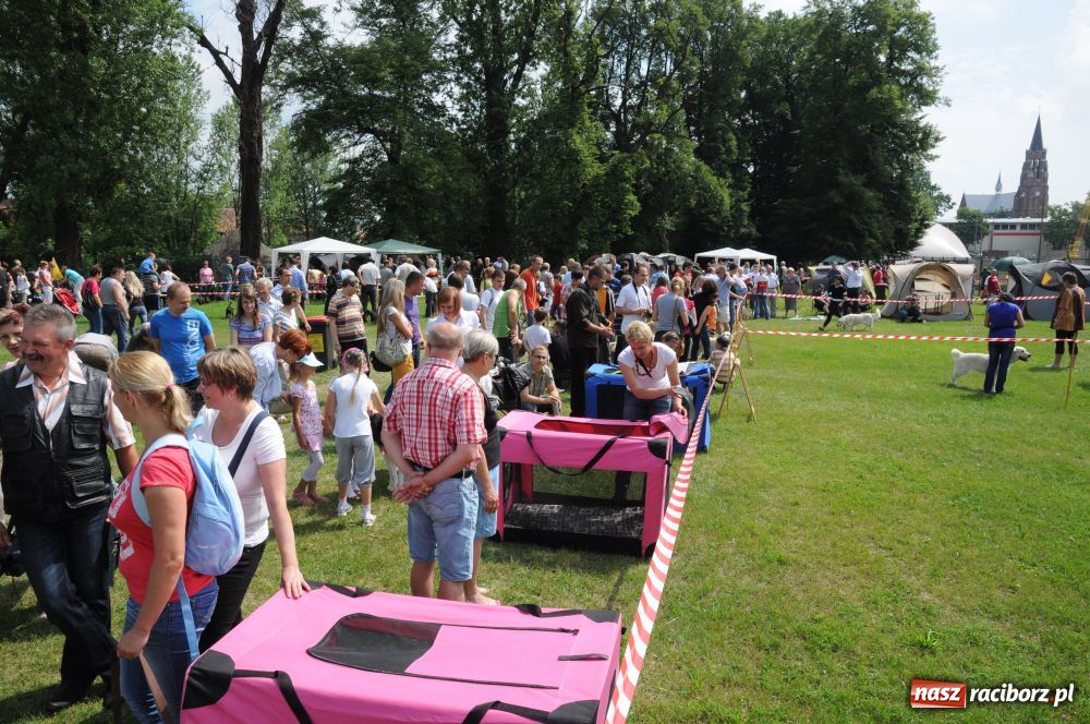 Zdjęcie w galerii na portalu naszraciborz.pl: Raciborskiej wystawie stuknęła 18-tka wiadomości z regionu