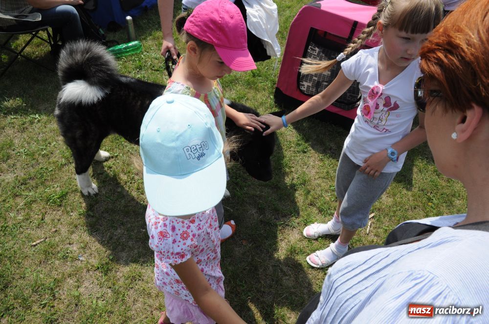 Zdjęcie w galerii na portalu naszraciborz.pl: Raciborskiej wystawie stuknęła 18-tka wiadomości z regionu