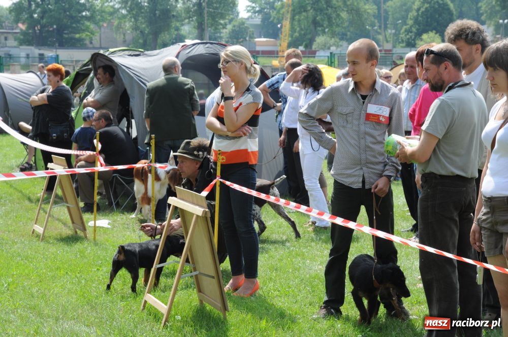 Zdjęcie w galerii na portalu naszraciborz.pl: Raciborskiej wystawie stuknęła 18-tka wiadomości z regionu