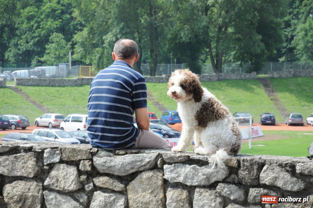 Zdjęcie w galerii na portalu naszraciborz.pl: Raciborskiej wystawie stuknęła 18-tka wiadomości z regionu