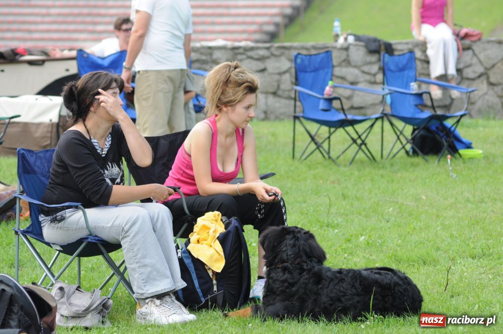 Zdjęcie w galerii na portalu naszraciborz.pl: Raciborskiej wystawie stuknęła 18-tka wiadomości z regionu