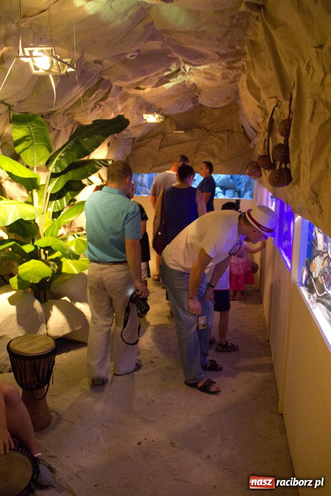 Zdjęcie w galerii na portalu naszraciborz.pl: Labirynt zamienił się w małe oceanarium wiadomości z regionu