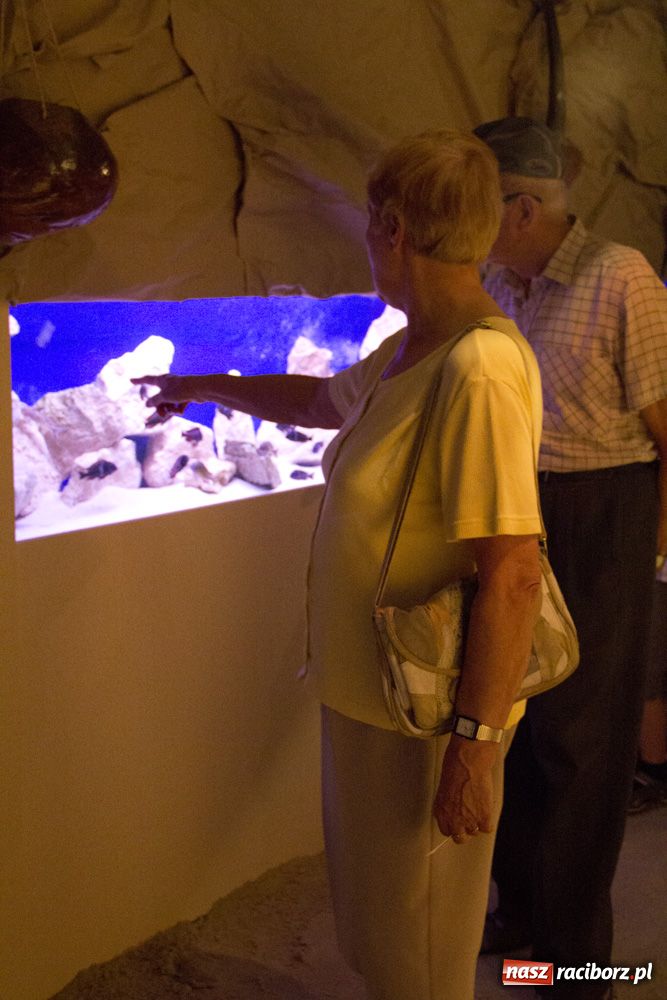 Zdjęcie w galerii na portalu naszraciborz.pl: Labirynt zamienił się w małe oceanarium wiadomości z regionu