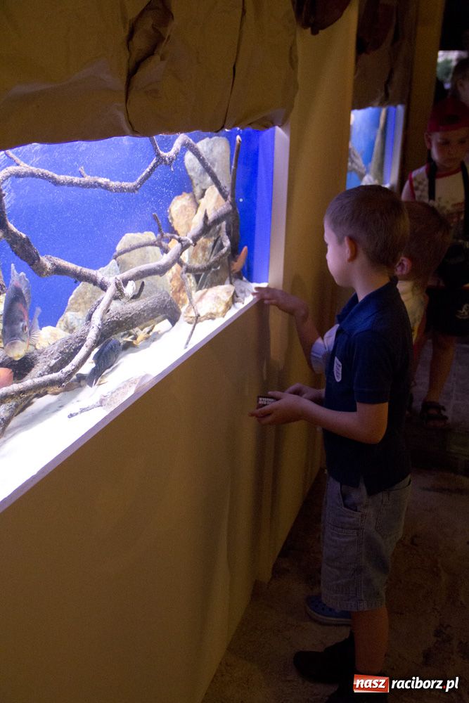 Zdjęcie w galerii na portalu naszraciborz.pl: Labirynt zamienił się w małe oceanarium wiadomości z regionu