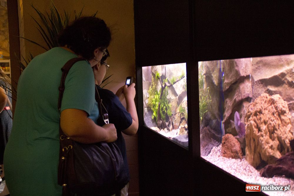 Zdjęcie w galerii na portalu naszraciborz.pl: Labirynt zamienił się w małe oceanarium wiadomości z regionu