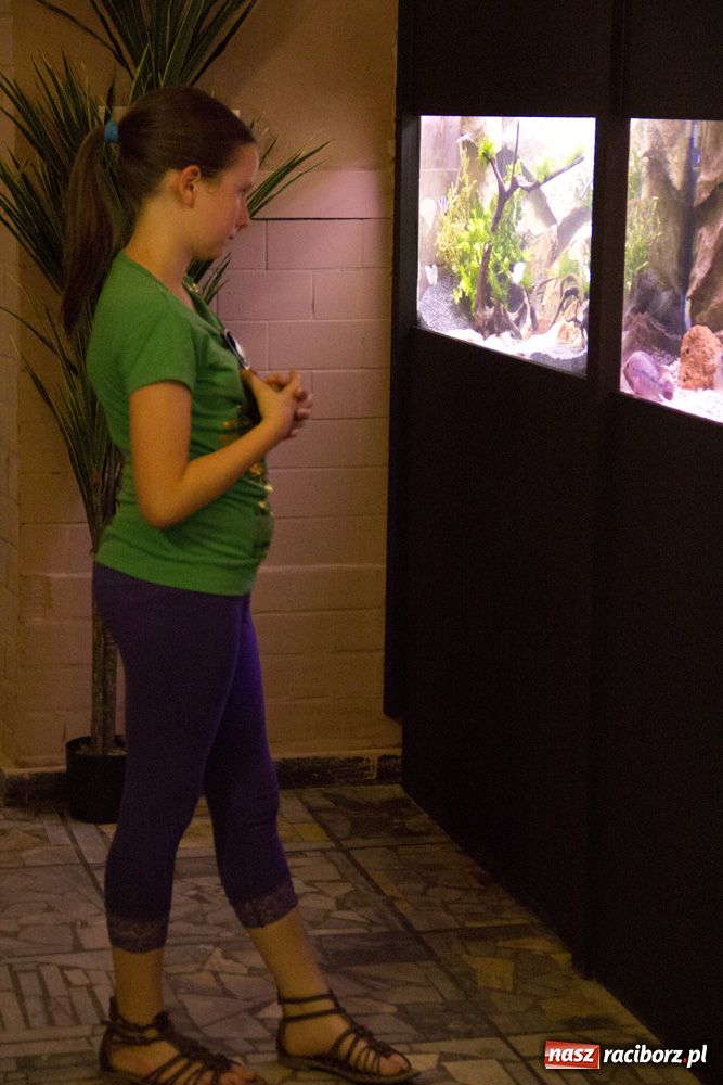 Zdjęcie w galerii na portalu naszraciborz.pl: Labirynt zamienił się w małe oceanarium wiadomości z regionu