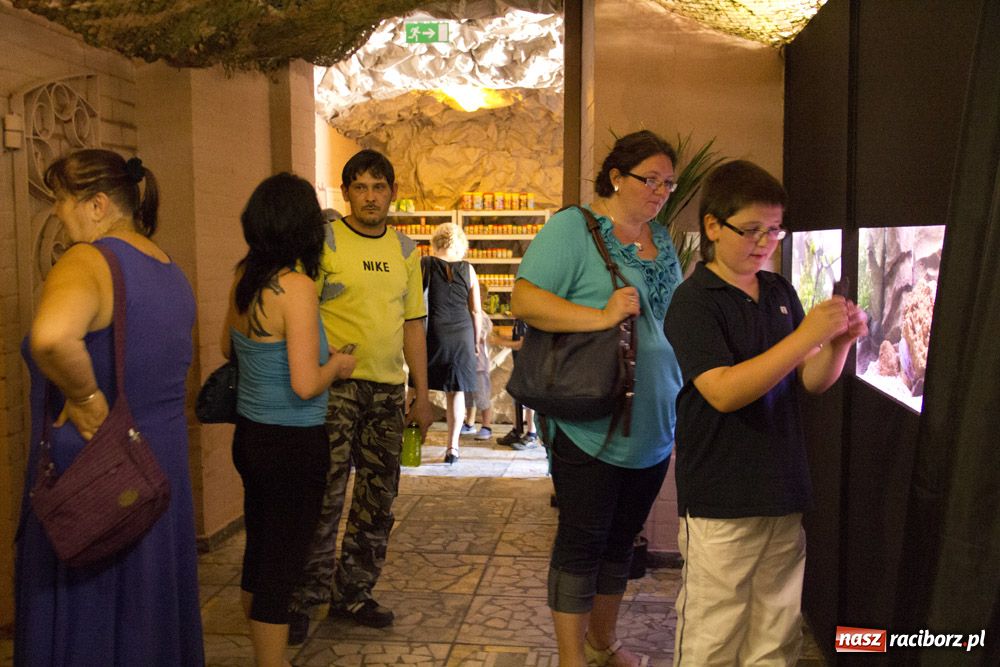 Zdjęcie w galerii na portalu naszraciborz.pl: Labirynt zamienił się w małe oceanarium wiadomości z regionu