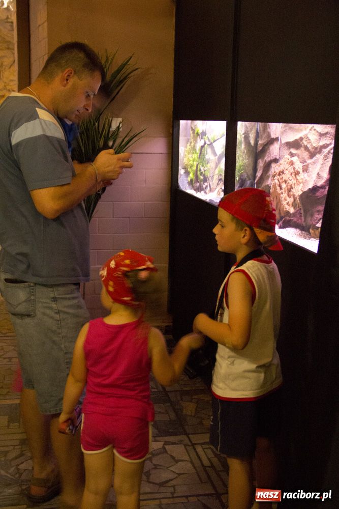 Zdjęcie w galerii na portalu naszraciborz.pl: Labirynt zamienił się w małe oceanarium wiadomości z regionu