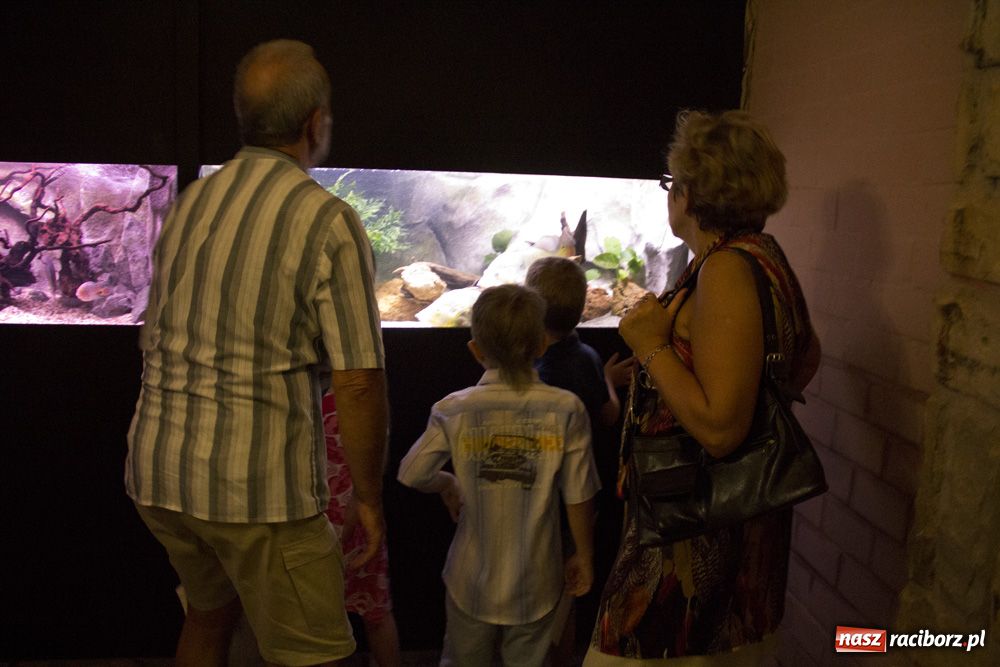 Zdjęcie w galerii na portalu naszraciborz.pl: Labirynt zamienił się w małe oceanarium wiadomości z regionu