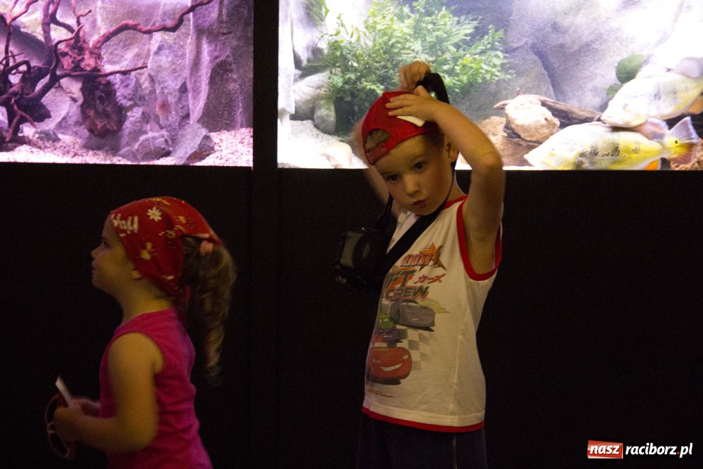 Zdjęcie w galerii na portalu naszraciborz.pl: Labirynt zamienił się w małe oceanarium wiadomości z regionu