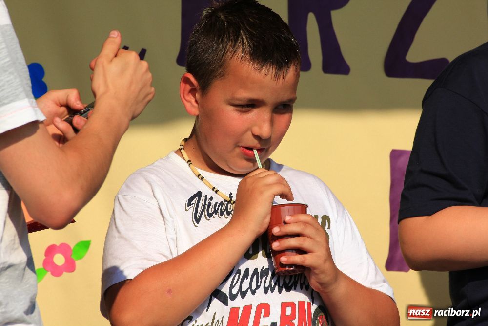 Zdjęcie w galerii na portalu naszraciborz.pl: Paralotnie na festynie rodzinnym w Kobyli wiadomości z regionu