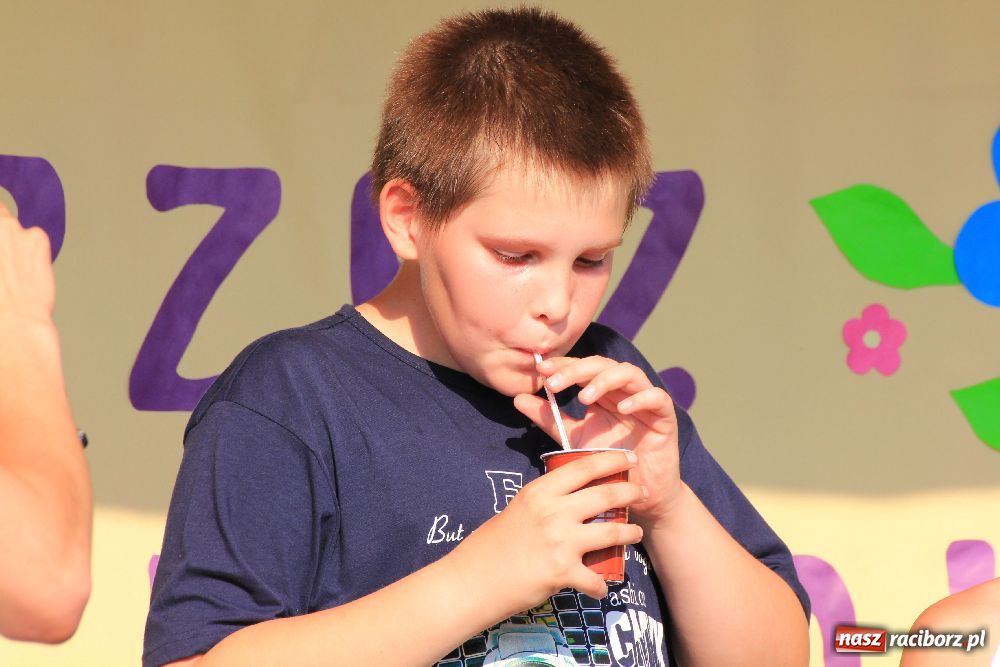 Zdjęcie w galerii na portalu naszraciborz.pl: Paralotnie na festynie rodzinnym w Kobyli wiadomości z regionu