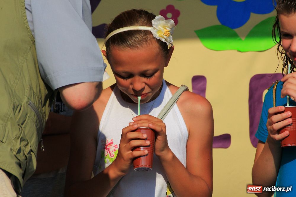 Zdjęcie w galerii na portalu naszraciborz.pl: Paralotnie na festynie rodzinnym w Kobyli wiadomości z regionu