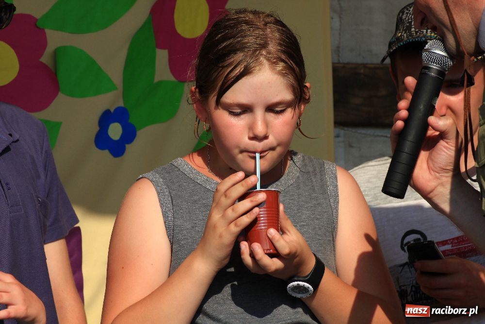 Zdjęcie w galerii na portalu naszraciborz.pl: Paralotnie na festynie rodzinnym w Kobyli wiadomości z regionu