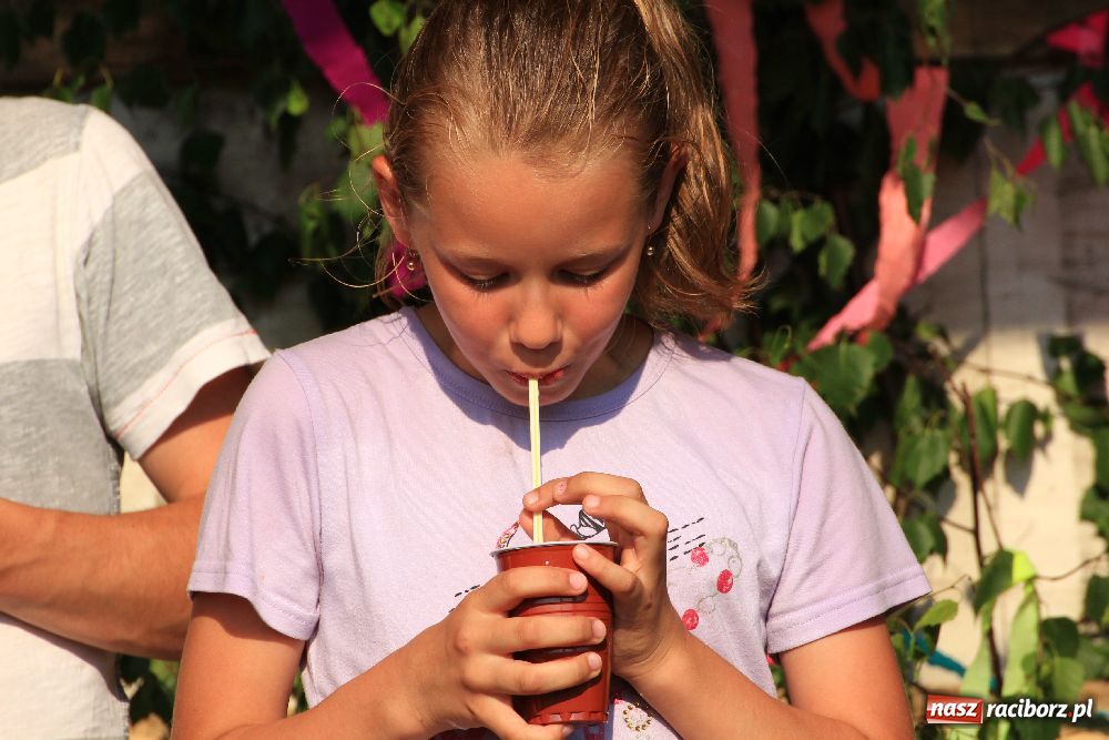 Zdjęcie w galerii na portalu naszraciborz.pl: Paralotnie na festynie rodzinnym w Kobyli wiadomości z regionu