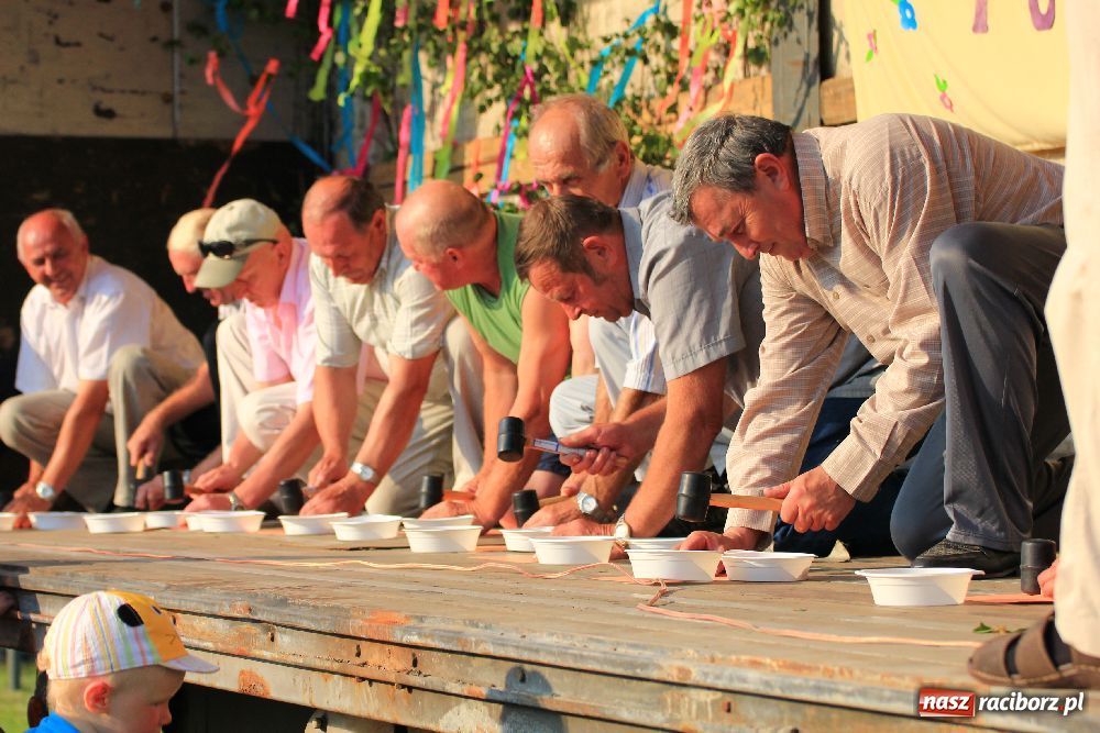 Zdjęcie w galerii na portalu naszraciborz.pl: Paralotnie na festynie rodzinnym w Kobyli wiadomości z regionu