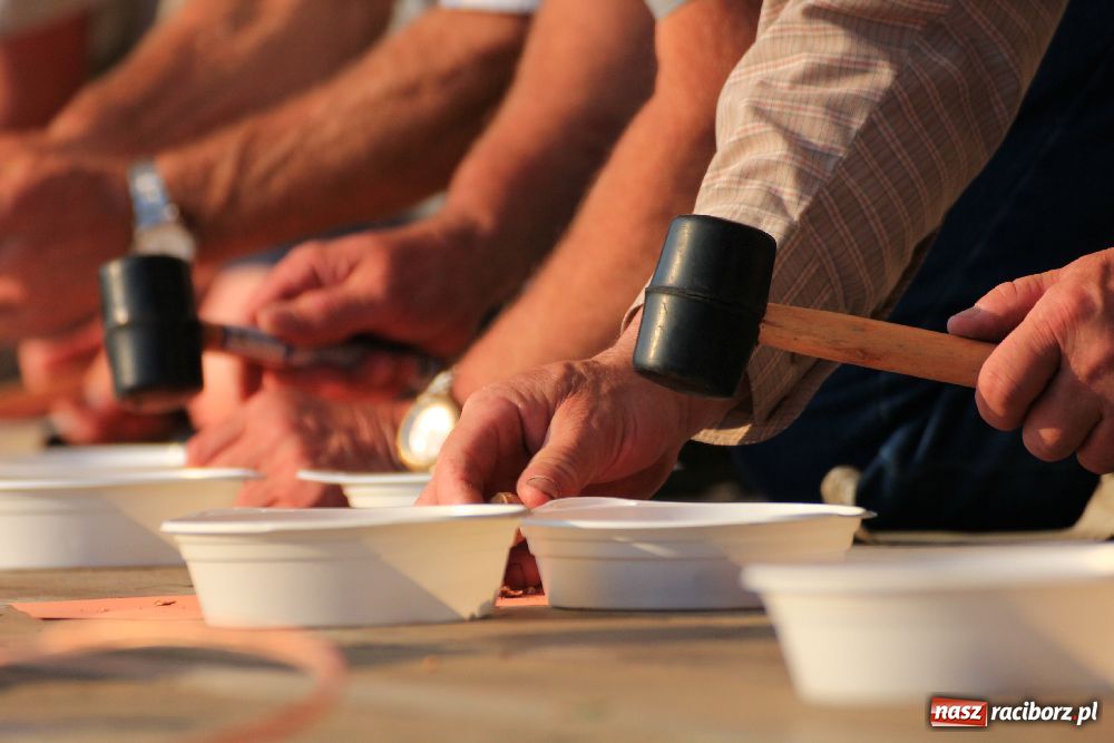 Zdjęcie w galerii na portalu naszraciborz.pl: Paralotnie na festynie rodzinnym w Kobyli wiadomości z regionu