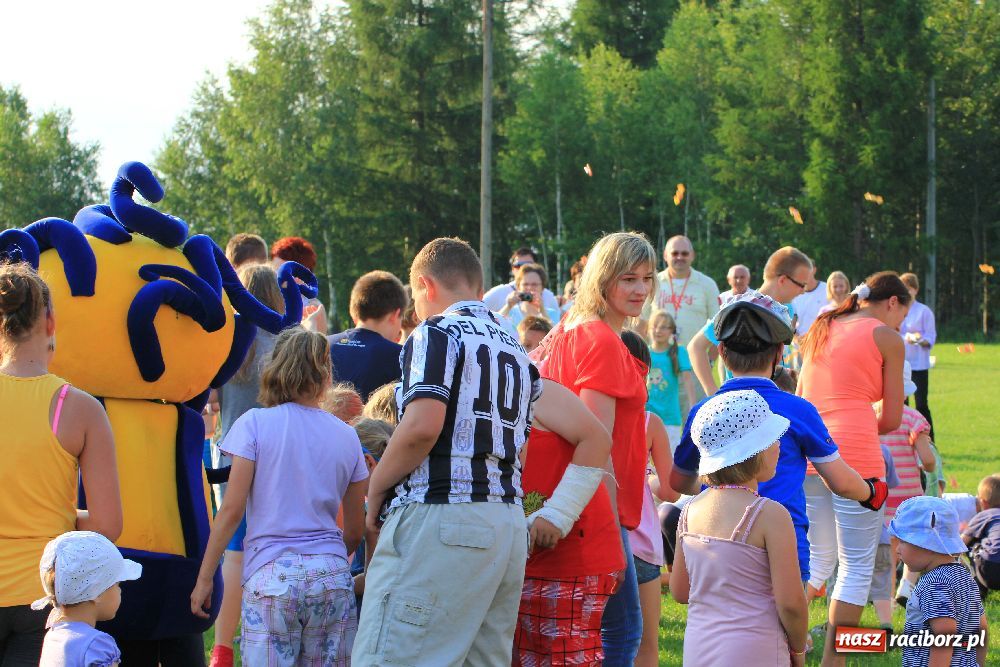 Zdjęcie w galerii na portalu naszraciborz.pl: Paralotnie na festynie rodzinnym w Kobyli wiadomości z regionu