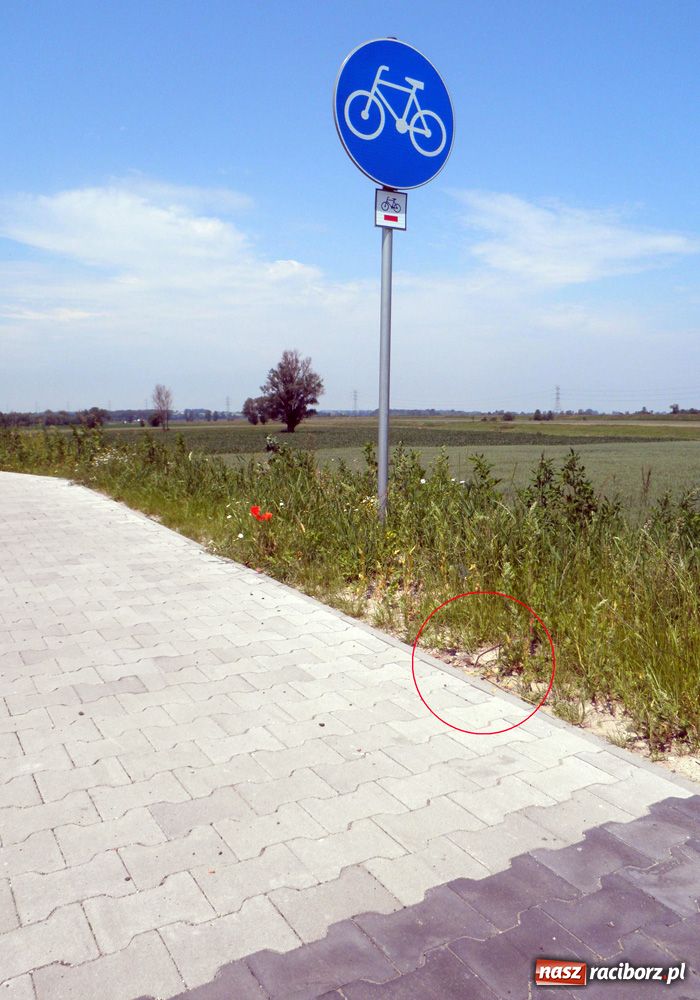 Zdjęcie w galerii na portalu naszraciborz.pl: Ta ścieżka grozi poważną kontuzją wiadomości z regionu