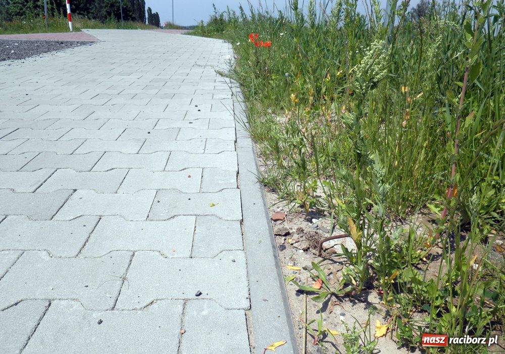 Zdjęcie w galerii na portalu naszraciborz.pl: Ta ścieżka grozi poważną kontuzją wiadomości z regionu