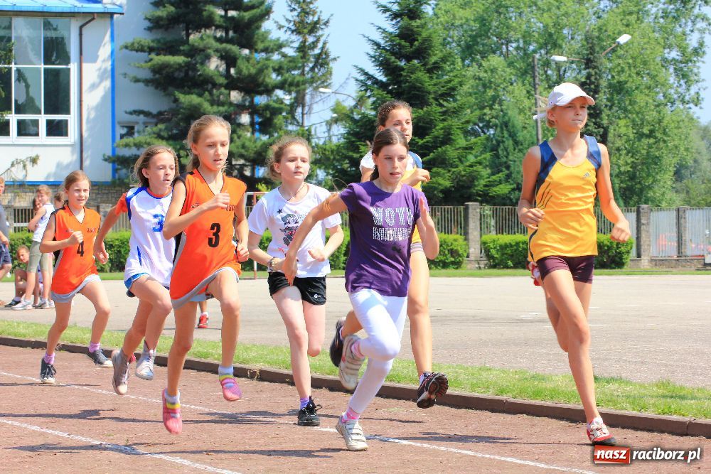 Zdjęcie w galerii na portalu naszraciborz.pl: Memoriał Janusza Kusocińskiego w ZSOMS wiadomości z regionu