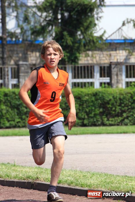 Zdjęcie w galerii na portalu naszraciborz.pl: Memoriał Janusza Kusocińskiego w ZSOMS wiadomości z regionu