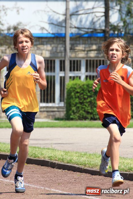 Zdjęcie w galerii na portalu naszraciborz.pl: Memoriał Janusza Kusocińskiego w ZSOMS wiadomości z regionu