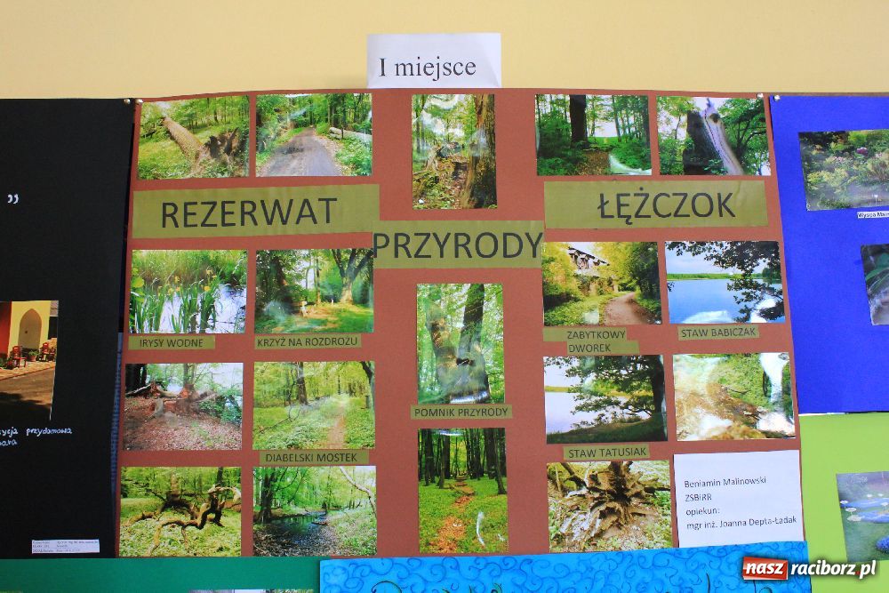 Zdjęcie w galerii na portalu naszraciborz.pl: Ogrody na fotografiach w Mechaniku wiadomości z regionu