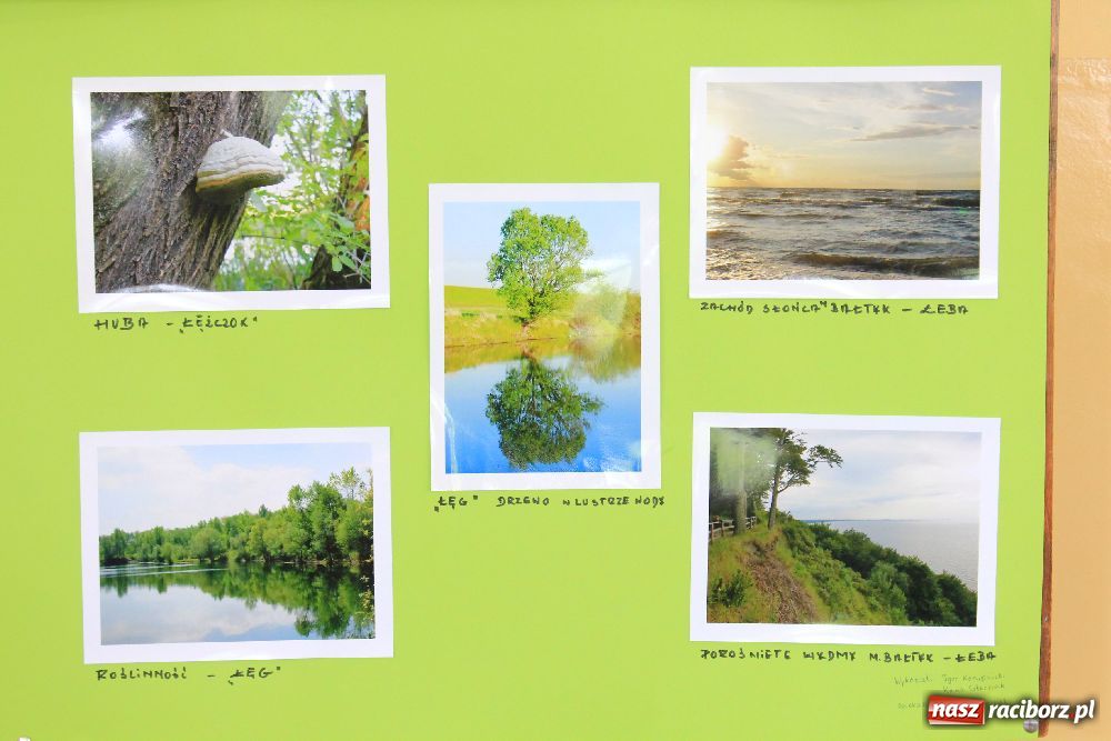 Zdjęcie w galerii na portalu naszraciborz.pl: Ogrody na fotografiach w Mechaniku wiadomości z regionu