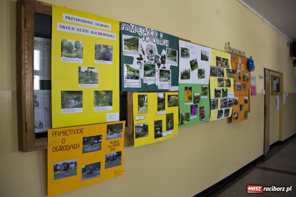 Zdjęcie w galerii na portalu naszraciborz.pl: Ogrody na fotografiach w Mechaniku wiadomości z regionu