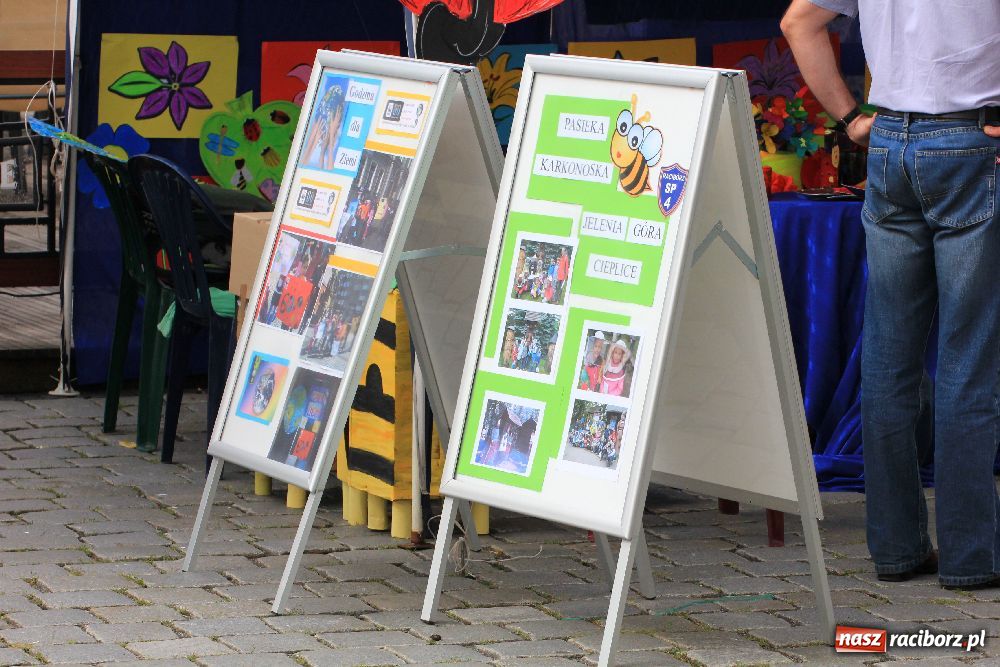 Zdjęcie w galerii na portalu naszraciborz.pl: XII edycja Festynu Ekologicznego wiadomości z regionu