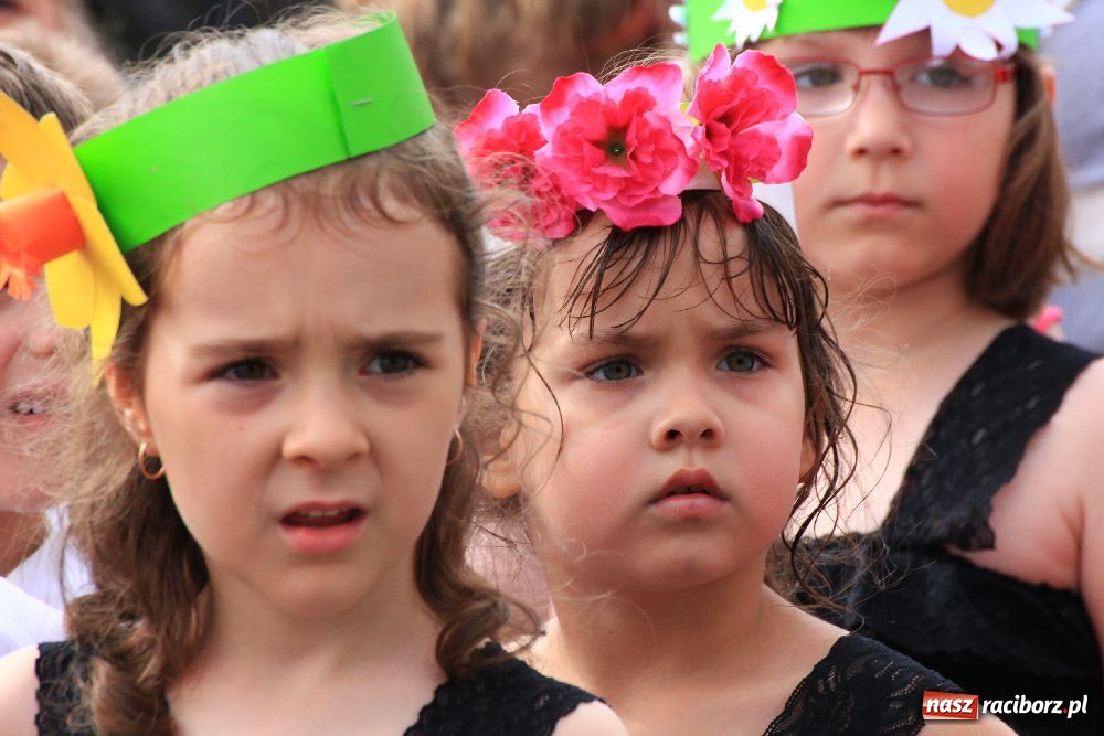 Zdjęcie w galerii na portalu naszraciborz.pl: XII edycja Festynu Ekologicznego wiadomości z regionu