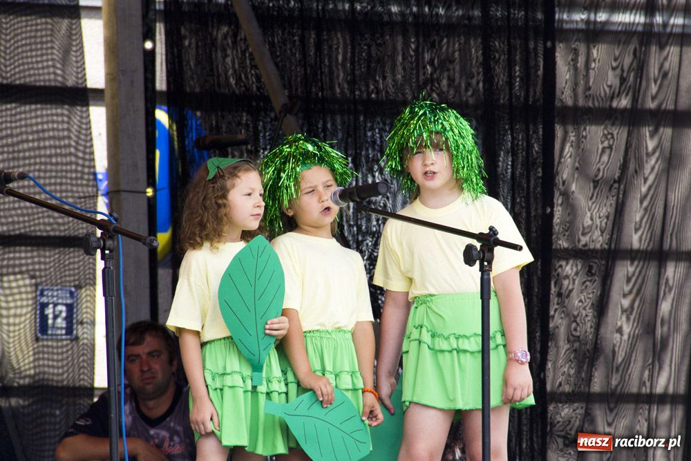 Zdjęcie w galerii na portalu naszraciborz.pl: XII edycja Festynu Ekologicznego wiadomości z regionu