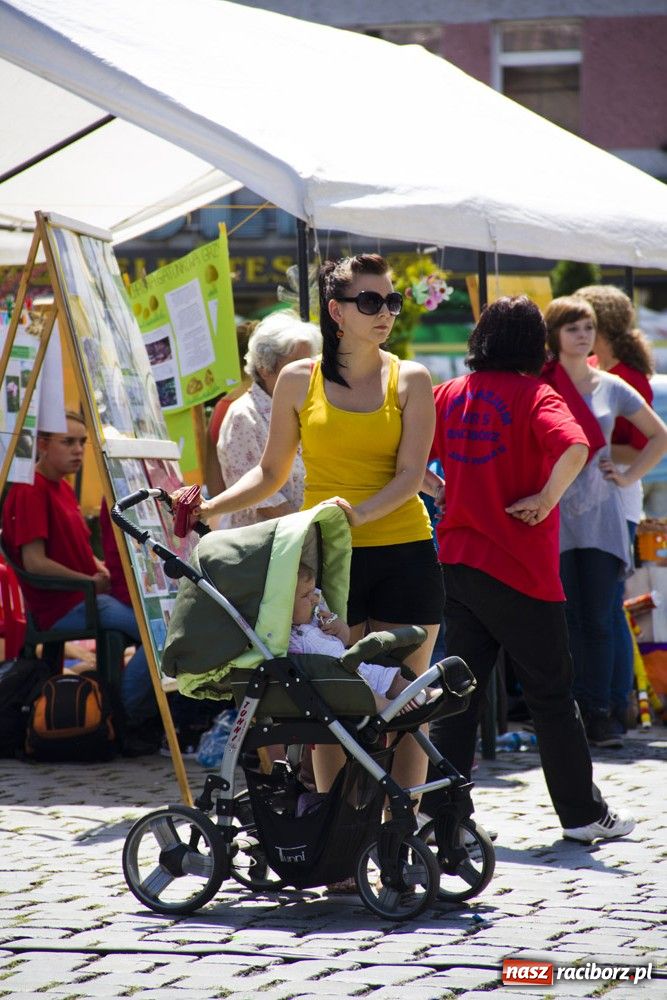 Zdjęcie w galerii na portalu naszraciborz.pl: XII edycja Festynu Ekologicznego wiadomości z regionu